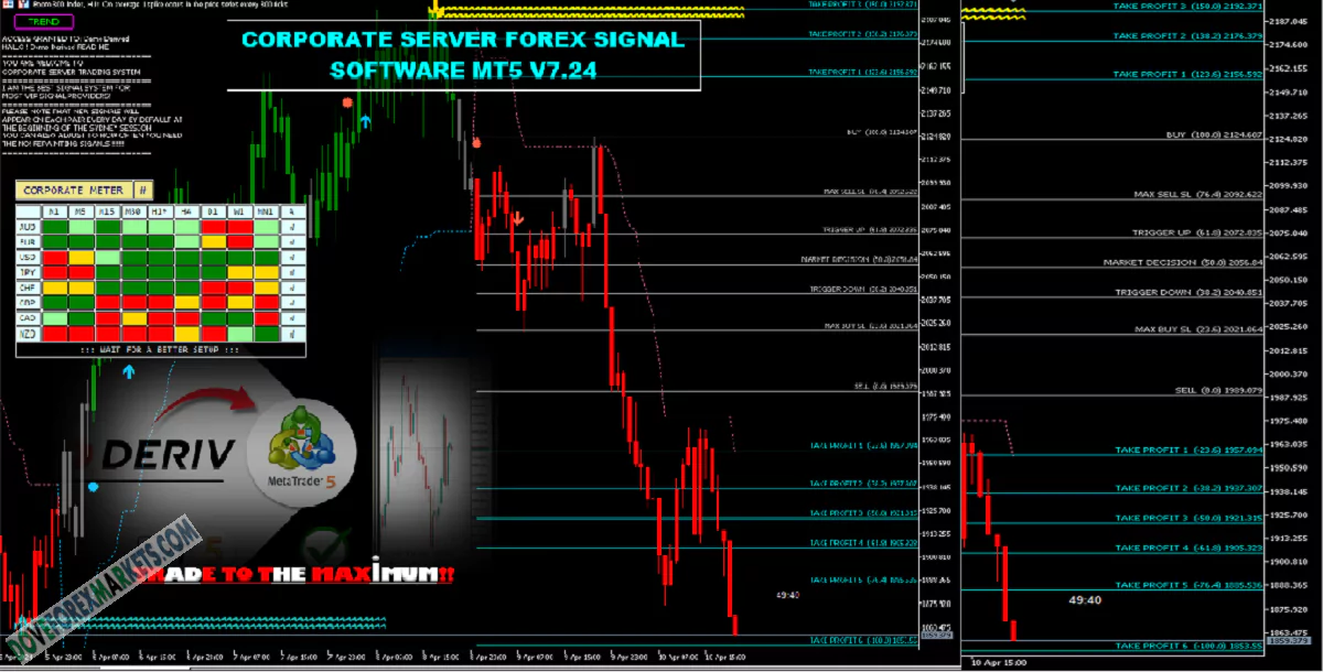 CORPORATE SERVER FOREX SIGNAL SOFTWARE MT5