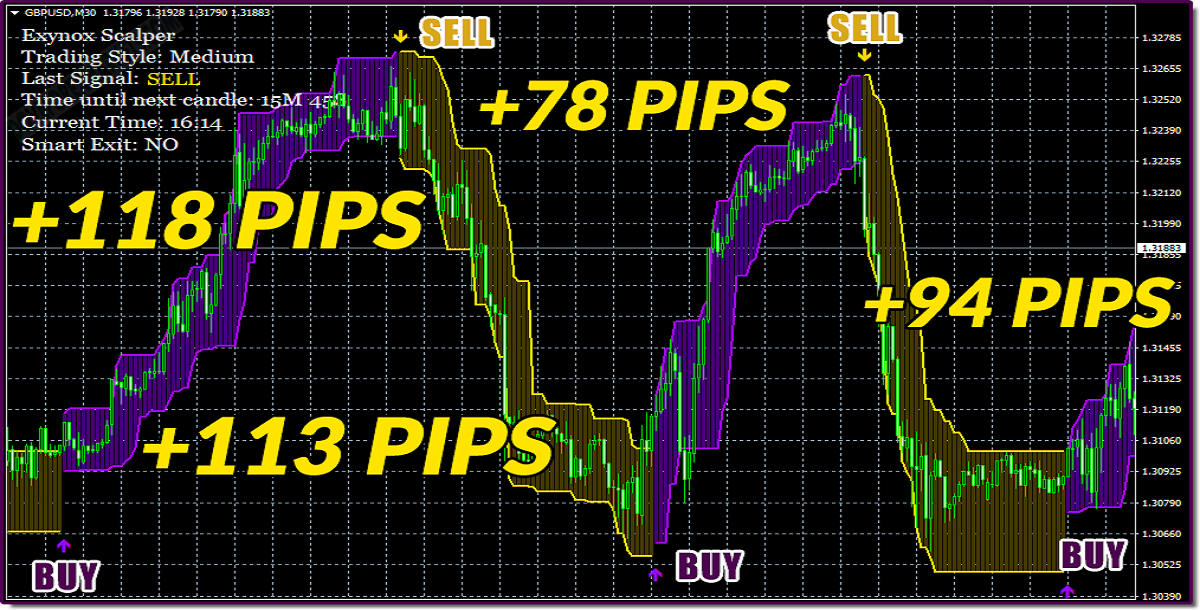 Exynox Scalper System