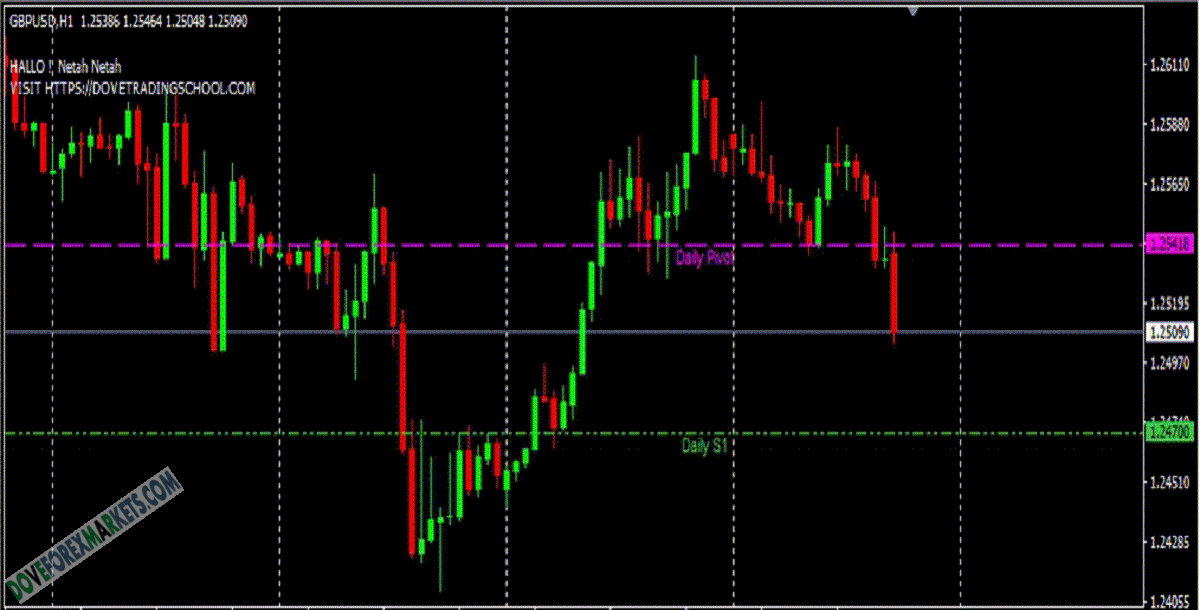 PivotIndicator Forex Indicator