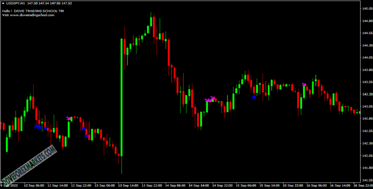 KENOX Binary Forex Indicator