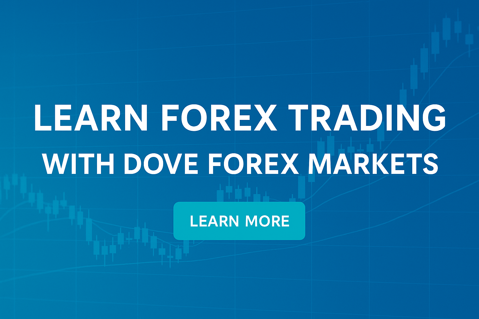 Day 2 – Article 1: Setting Up for Success — Choosing a Forex Broker
